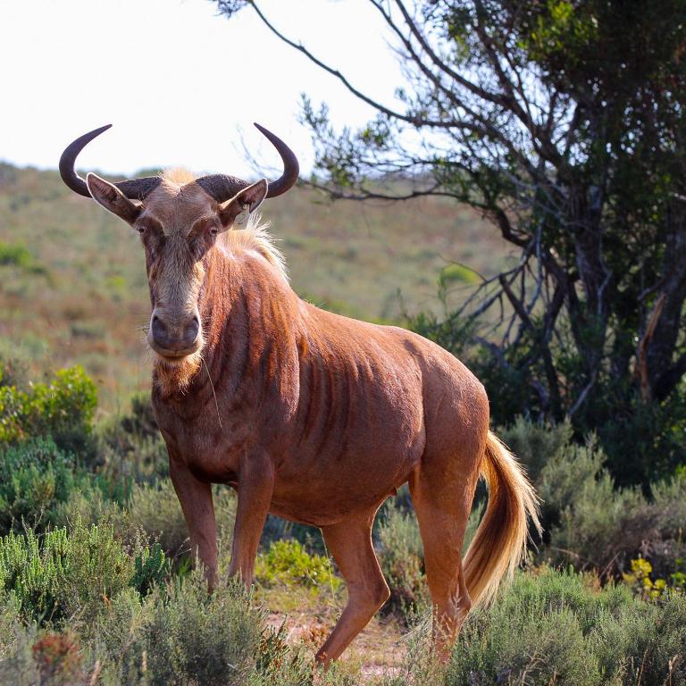  Bedroom Property for Sale in Mossel Bay Rural Western Cape
